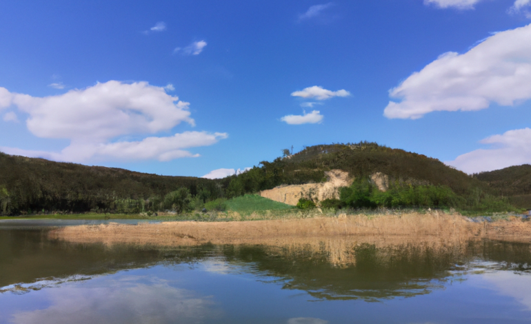 초보자를 위한 밤의제국 계열 주소 찾기 완벽 가이드
